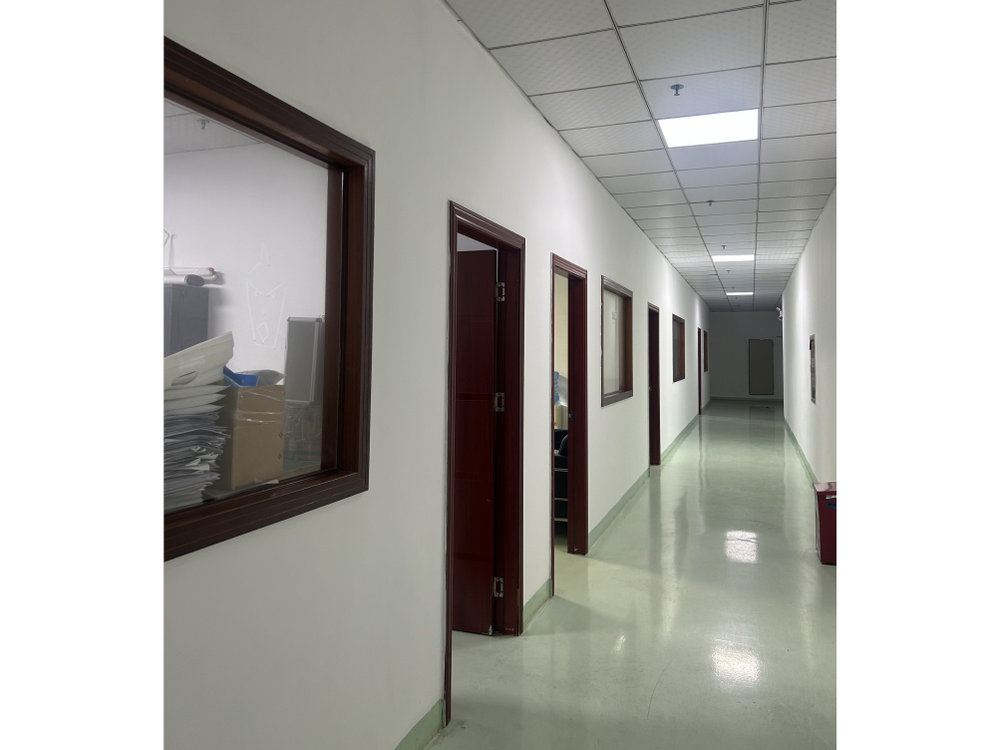 全年免费综合资料大全