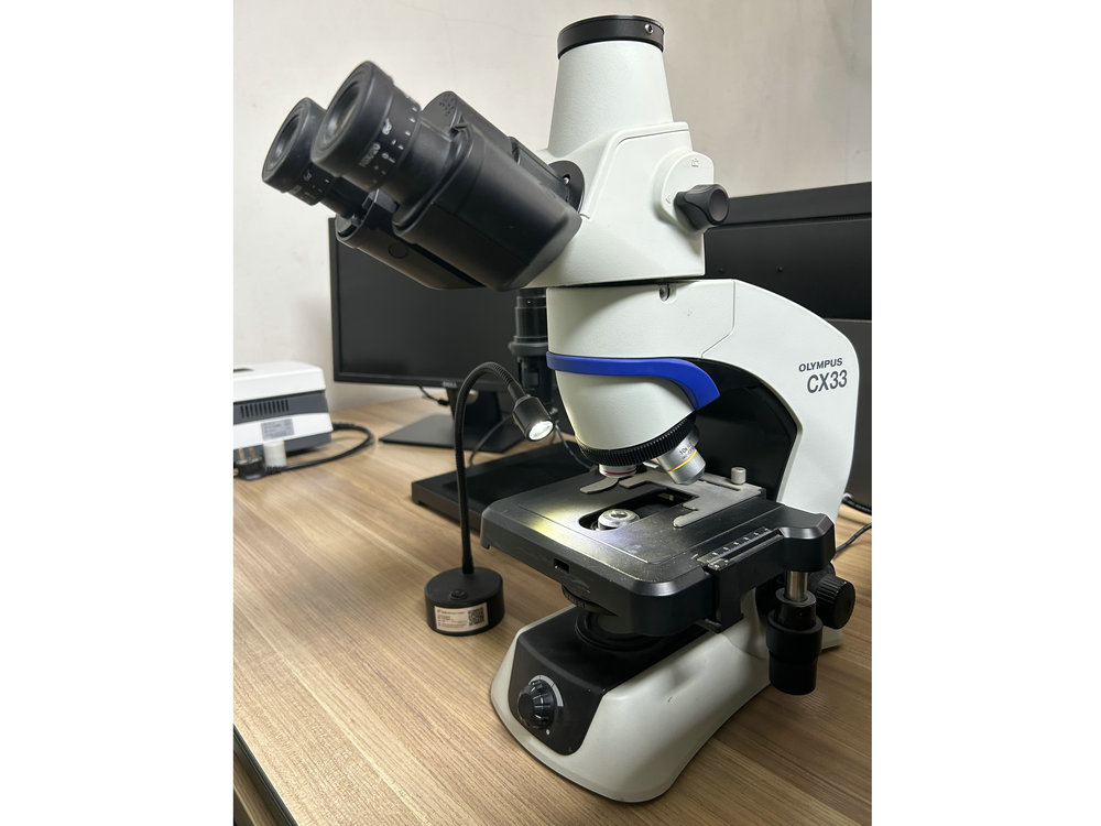 全年免费综合资料大全